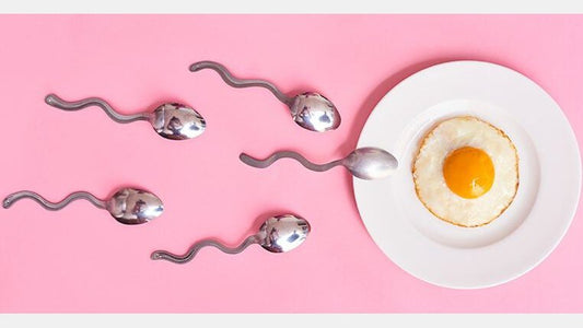 Superfoods for Male Fertility - Snowballs Underwear